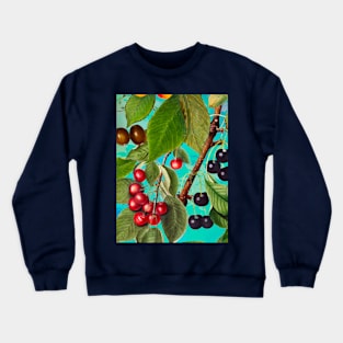 Exotic tropical floral leaves and fruits, botanical pattern, tropical plants, aqua turquoise fruit pattern over a Crewneck Sweatshirt